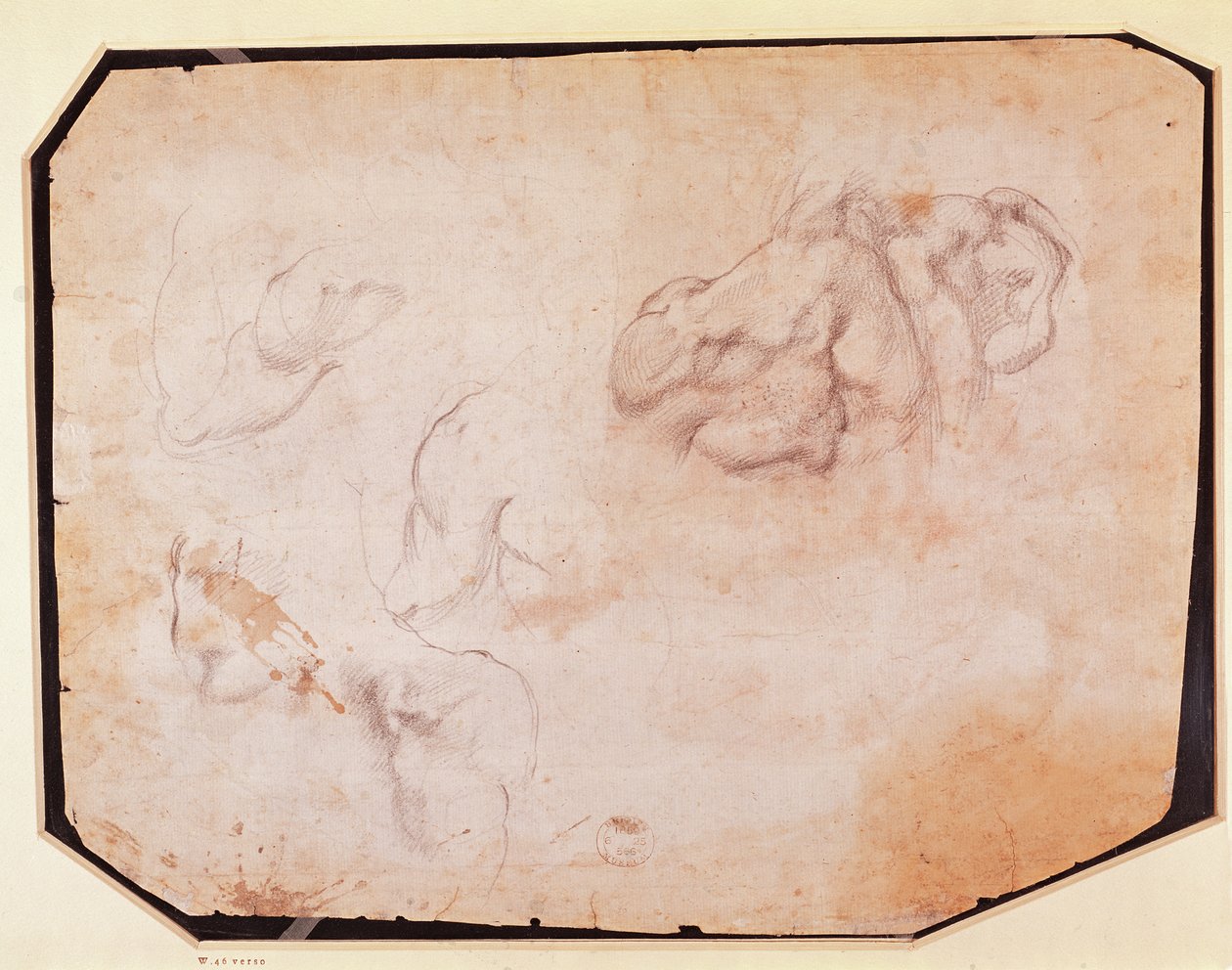 Izmok tanulmányozása (fordítva) (további lásd: 191769) alkotó: Michelangelo Buonarroti