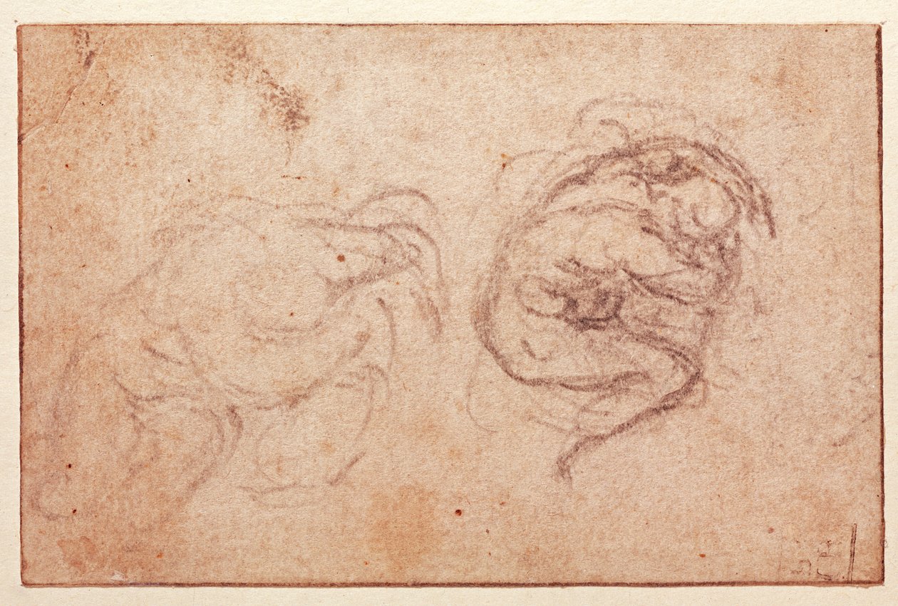 Guggoló alak tanulmánya (fekete kréta, papír) (recto) alkotó: Michelangelo Buonarroti