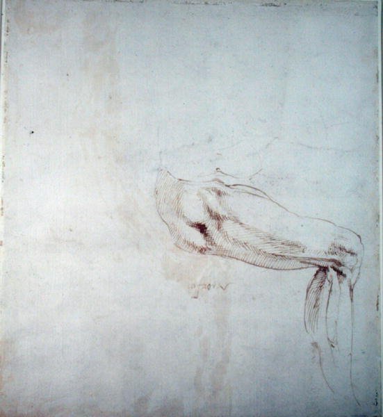 Egy láb tanulmányozása jegyzetekkel (barna tinta papíron) (rekto) alkotó: Michelangelo Buonarroti