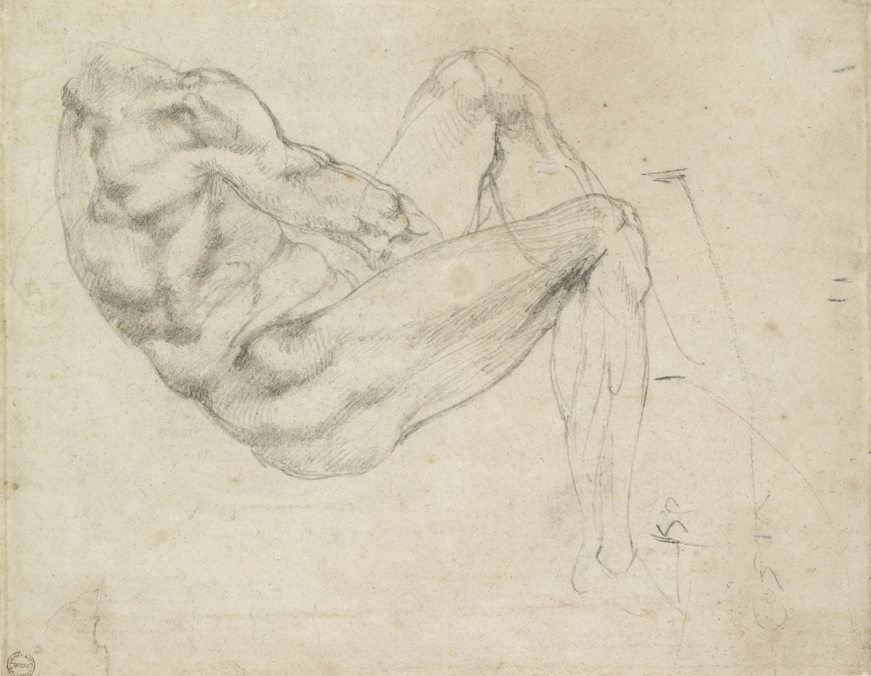 Fekvő férfialak tanulmányozása, recto (fekete kréta törtfehér papíron) alkotó: Michelangelo Buonarroti