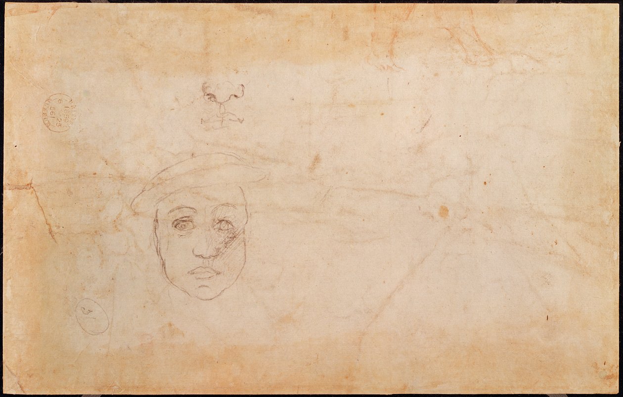 Egy férfi fej vizsgálata (fordítva) alkotó: Michelangelo Buonarroti