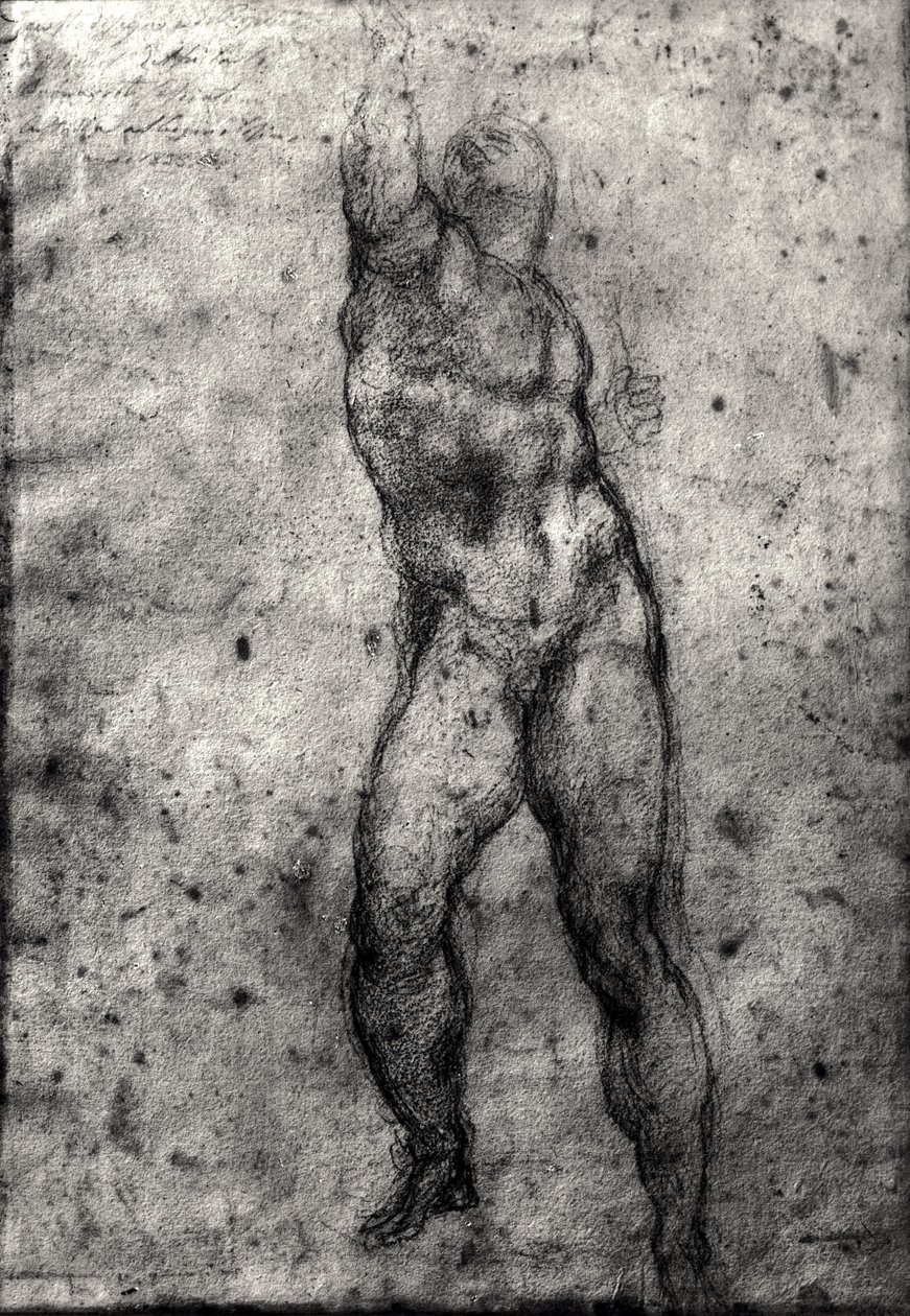 Egy férfi akt tanulmányozása alkotó: Michelangelo Buonarroti