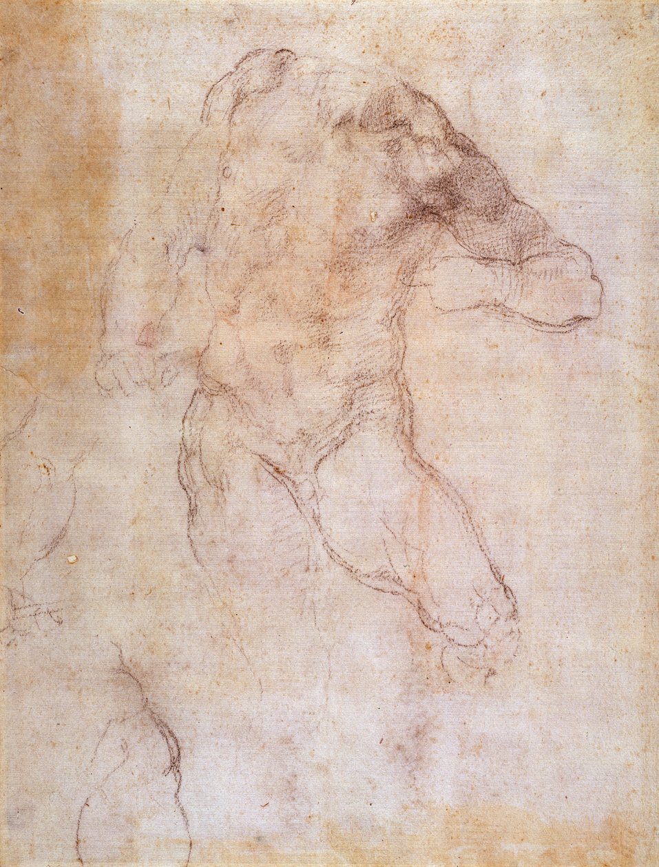 Egy férfi akt tanulmányozása alkotó: Michelangelo Buonarroti