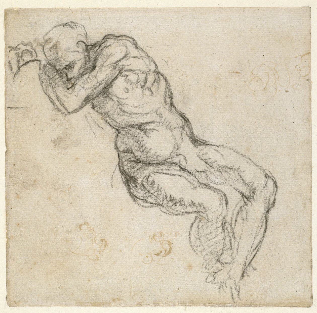 Tanulmány egy férfi aktról, 1511 körül (toll és fekete kréta papíron) alkotó: Michelangelo Buonarroti