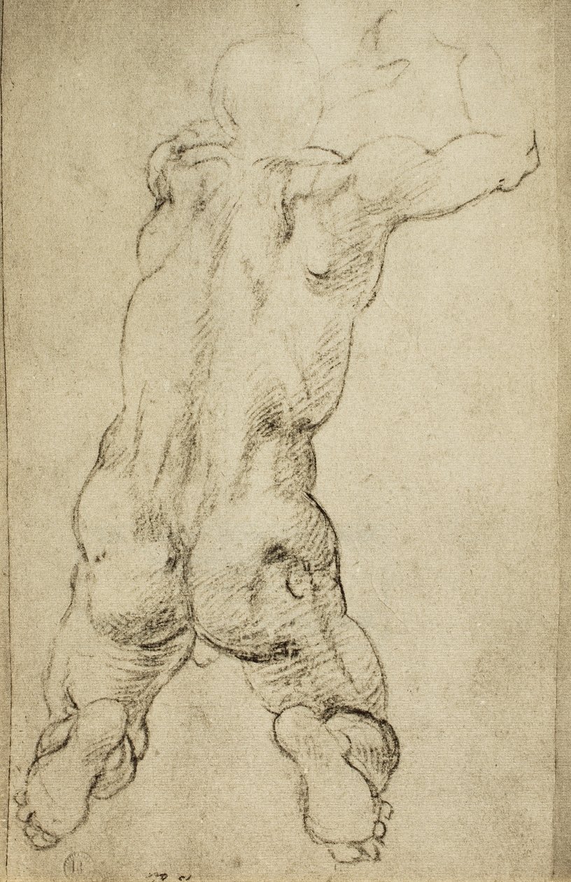 Egy férfias figura tanulmányozása: Michelangelo rajza. Casa Buonarroti, Firenze alkotó: Michelangelo Buonarroti