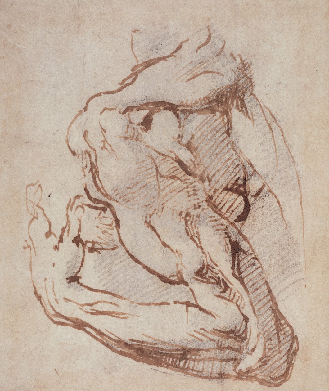 Kar tanulmánya (tinta) Inv.1859514819 (W.49) alkotó: Michelangelo Buonarroti