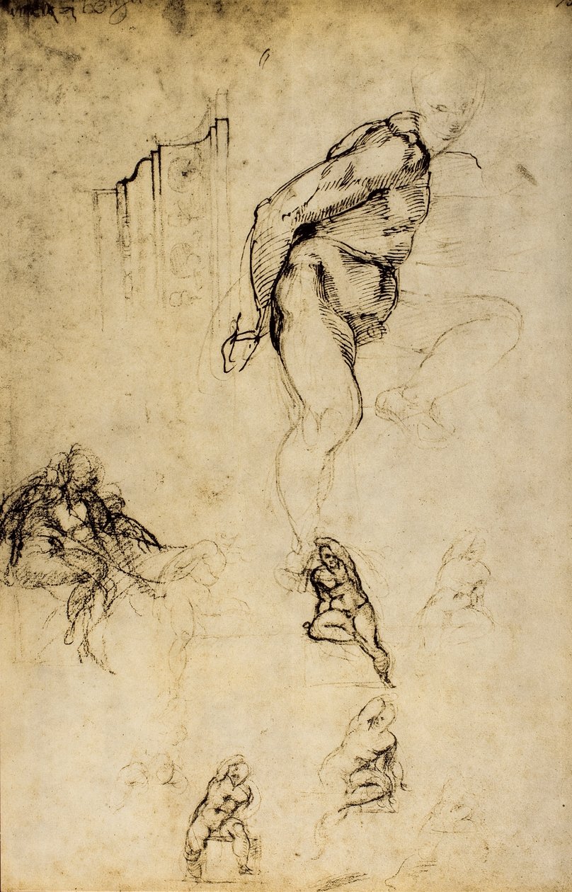 A férfias formák tanulmányozása, Michelangelo rajza. Casa Buonarroti, Firenze alkotó: Michelangelo Buonarroti