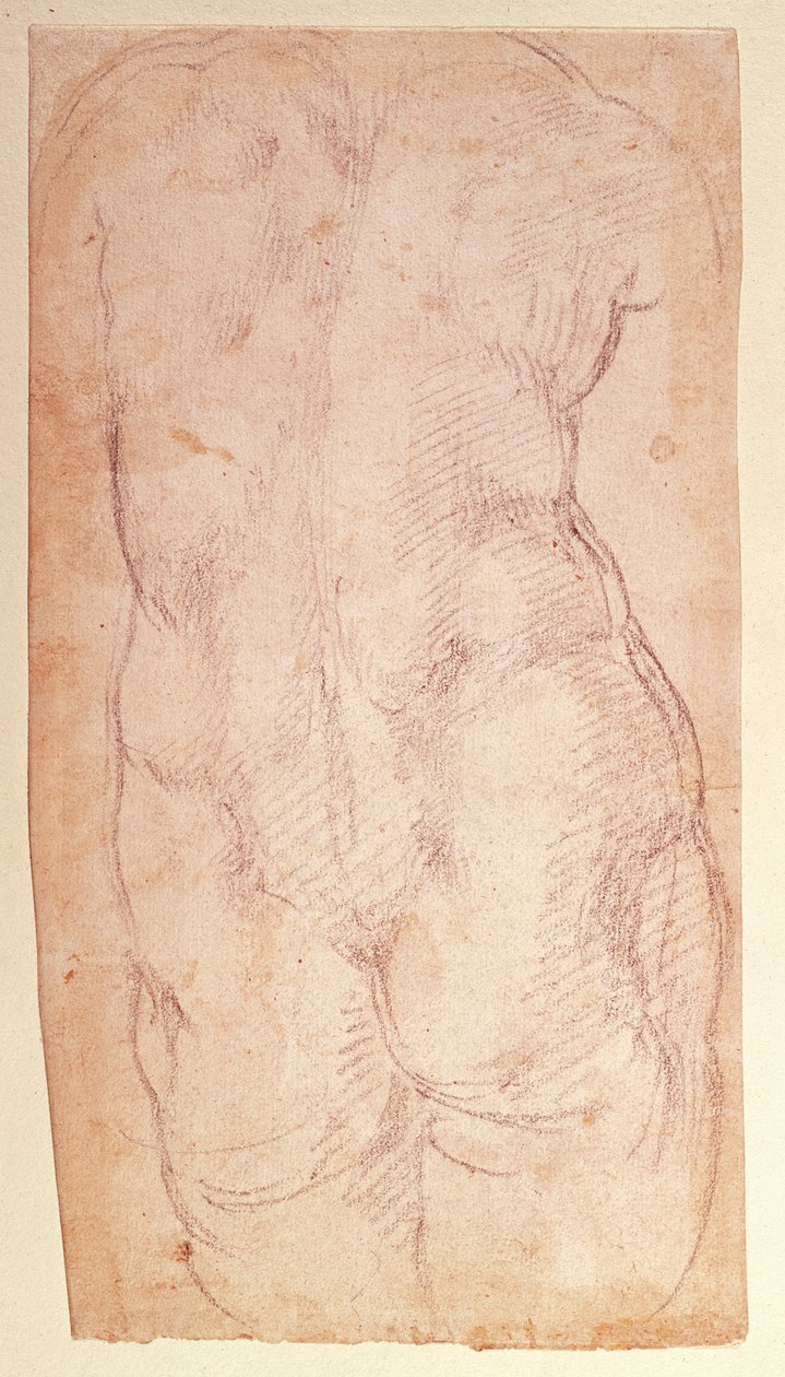 Egy meztelen figura hátának tanulmányozása alkotó: Michelangelo Buonarroti
