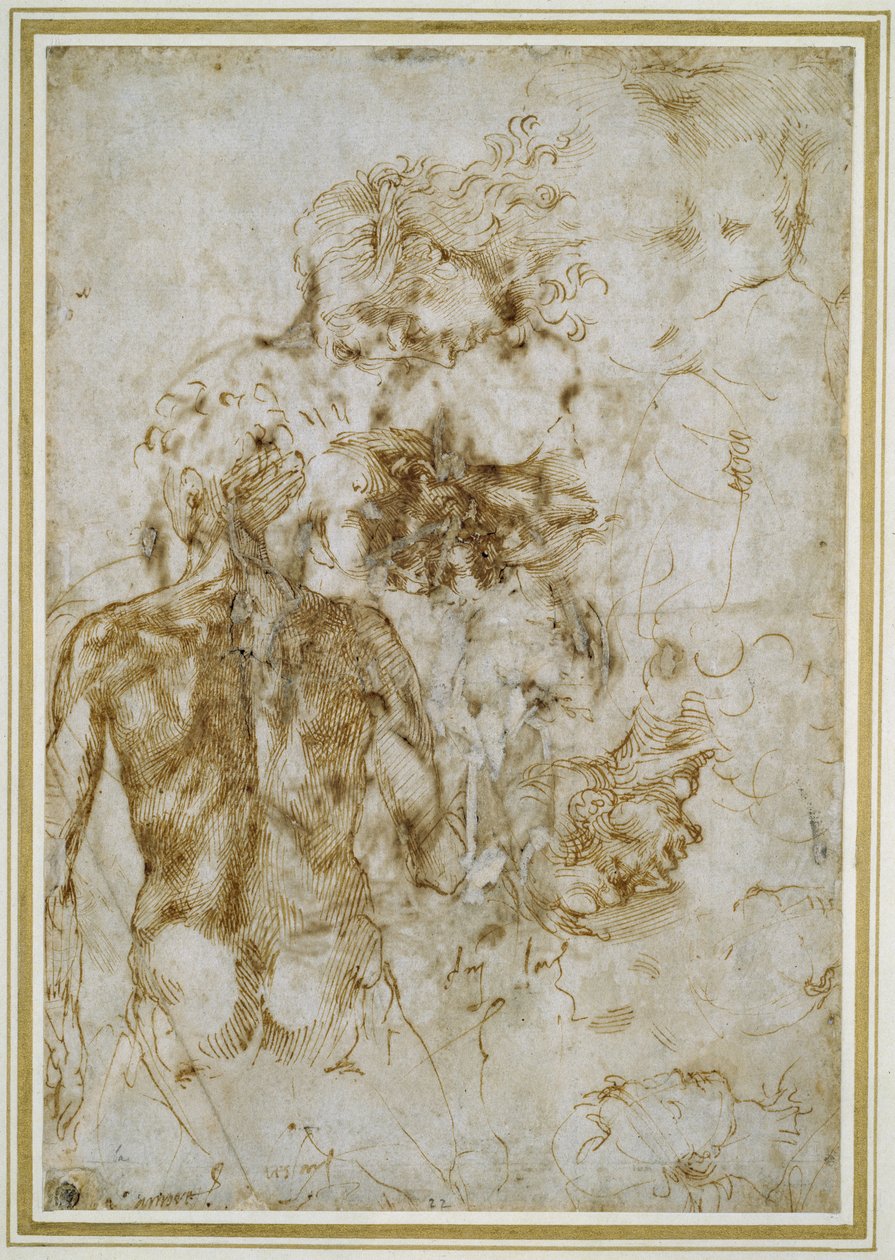 Különféle ábratanulmányok (toll és barna tinta törtfehér papíron) alkotó: Michelangelo Buonarroti
