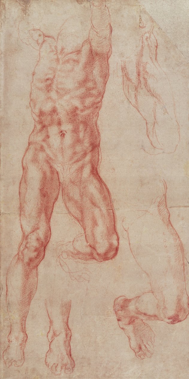 Felfelé nyúló férfi akt tanulmányozása alkotó: Michelangelo Buonarroti
