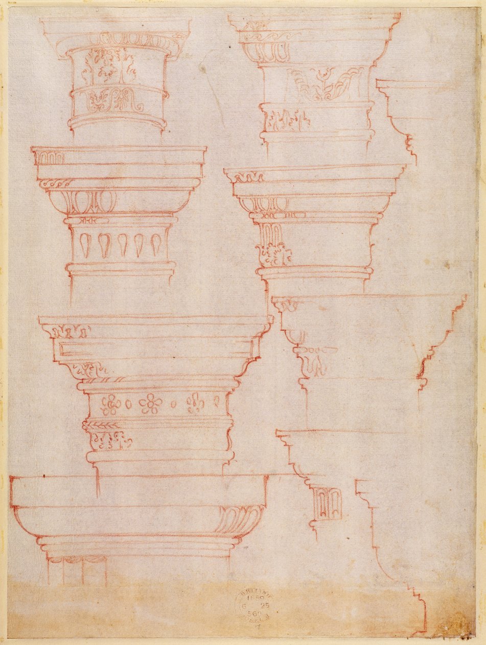 W.18v Oszlopbetűk tanulmányozása (színes ceruza) alkotó: Michelangelo Buonarroti
