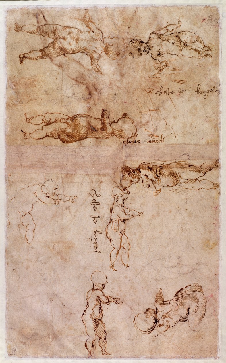 W.4v Babákról vagy kerubokról készült vázlatok oldala (tinta papíron) alkotó: Michelangelo Buonarroti