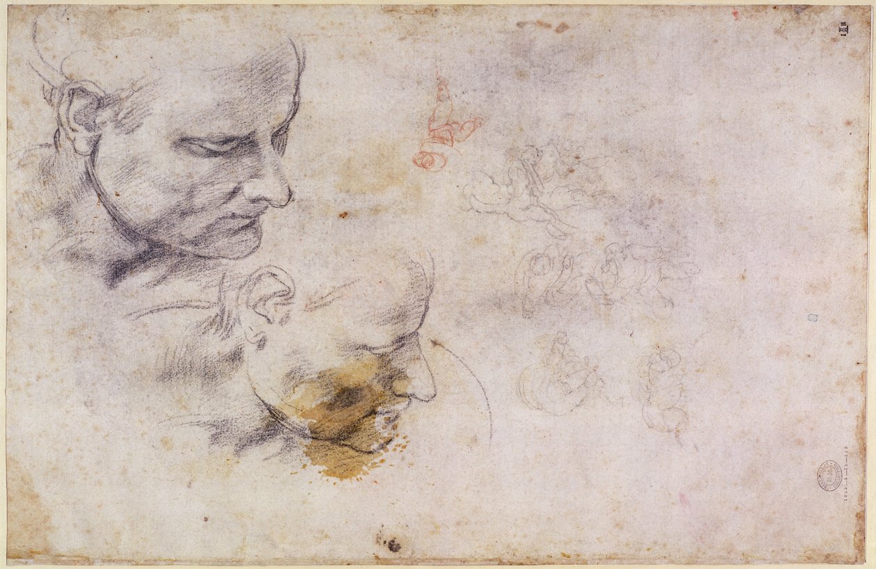 W.60 Vázlat egy férfi fejről, két pozícióban alkotó: Michelangelo Buonarroti