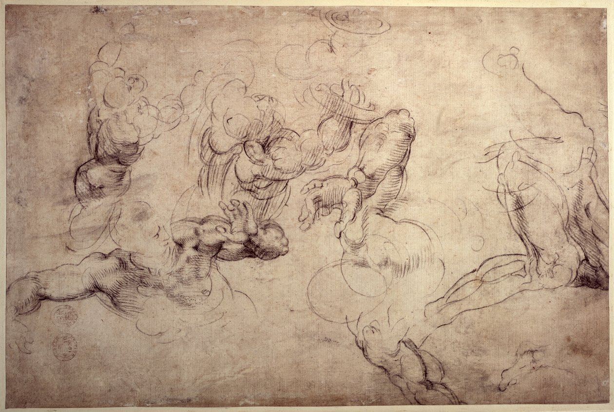 W.61v Férfialak tanulmányok alkotó: Michelangelo Buonarroti