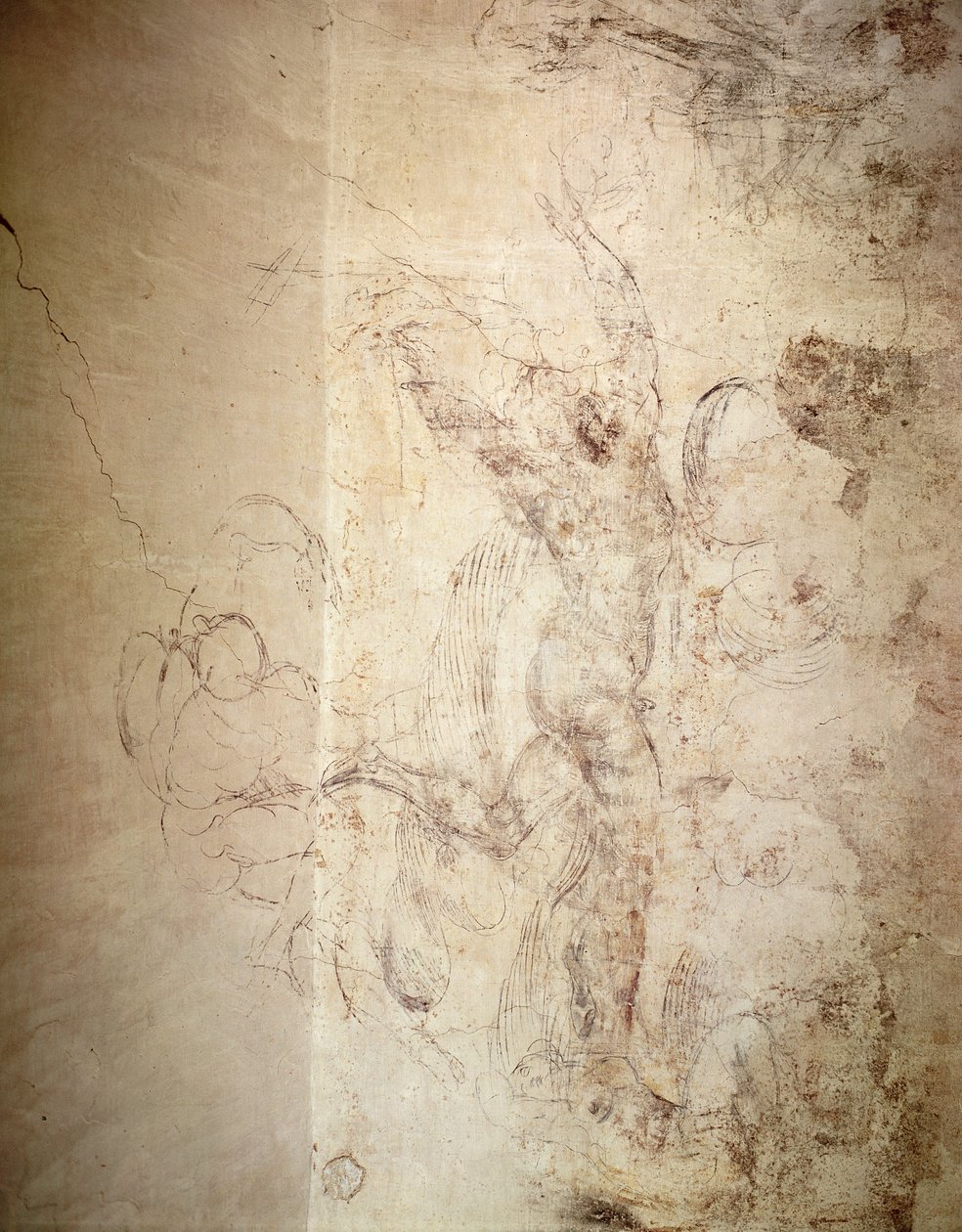 Aktfigura falrajza alkotó: Michelangelo Buonarroti