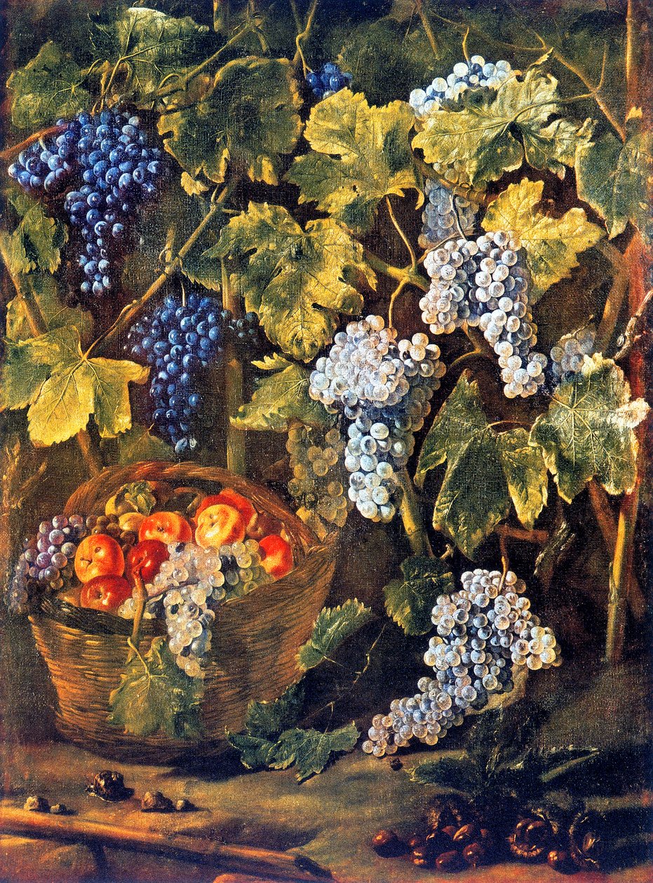 Csendélet egy kosár gyümölccsel, gesztenyével és háttérrel vagy szőlővel és szőlőfürtökkel alkotó: Michelangelo Cerquozzi