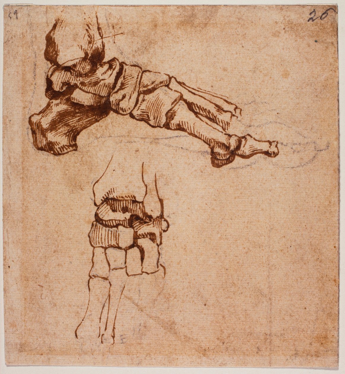 Anatómiai lábvizsgálat alkotó: Michelangelo (after) Buonarroti