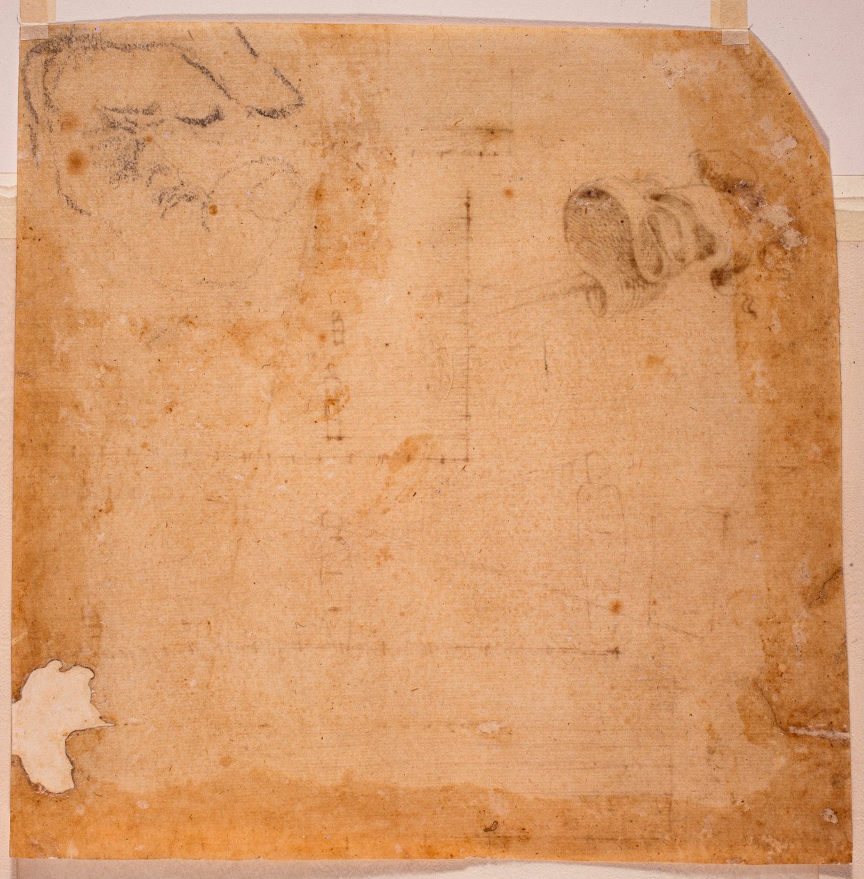 Perspektivikus tanulmányok és transzparensek alkotó: Michelangelo (after) Buonarroti