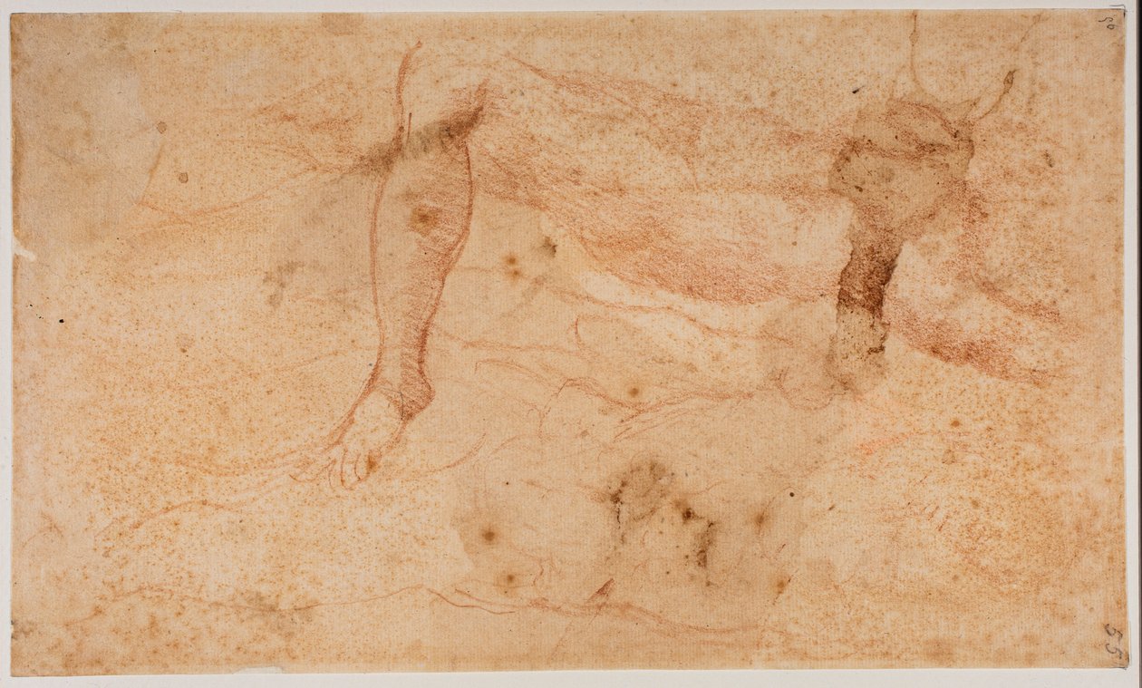Aktok tanulmányai alkotó: Michelangelo (after) Buonarroti