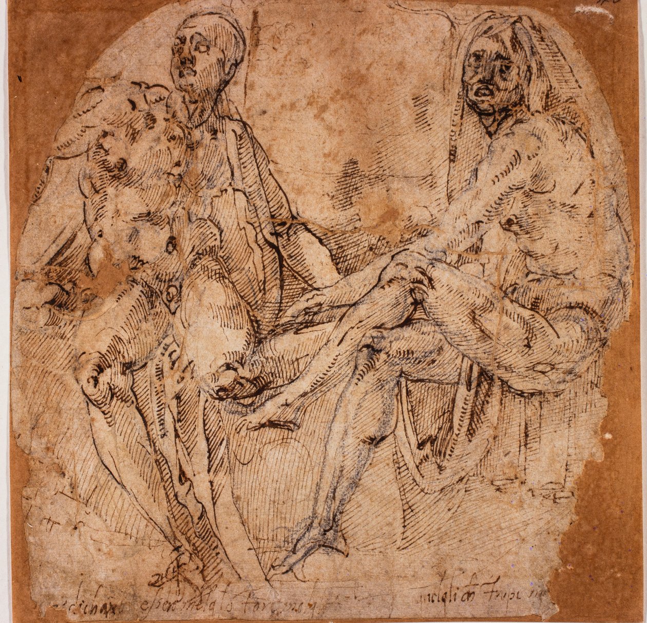 Aktok tanulmányai alkotó: Michelangelo (after) Buonarroti