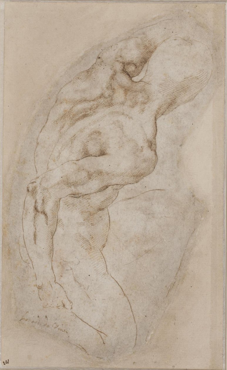 Hátulról nézve térdelő fiatal alkotó: Michelangelo Buonarroti