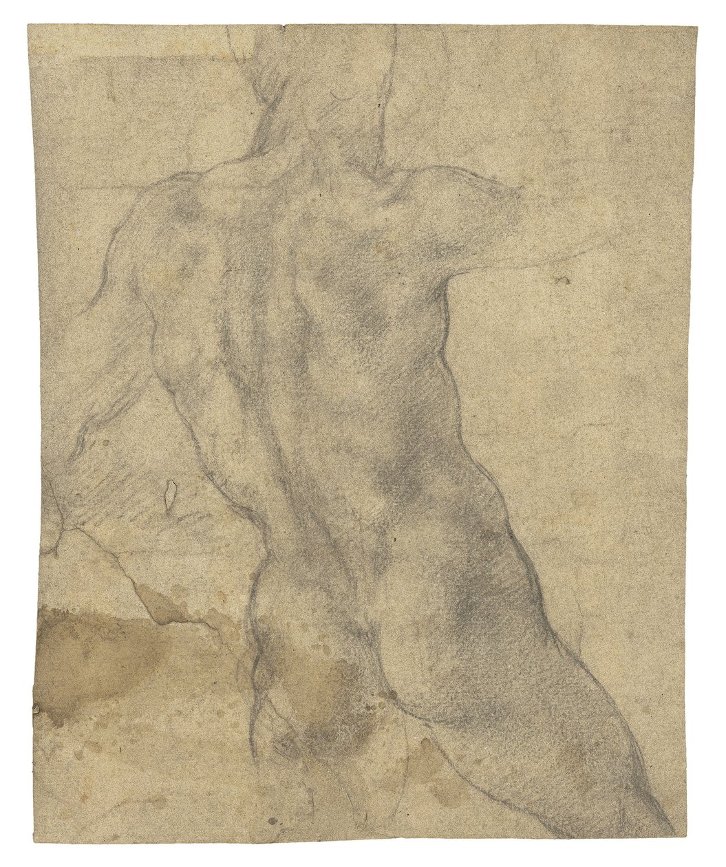 Egy férfi akt hátulról nézve alkotó: Michelangelo Buonarroti