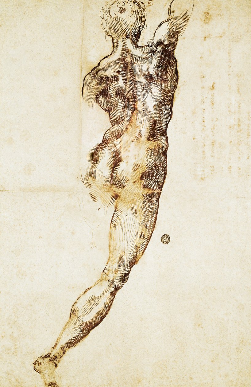 Egy férfi akt hátulról, tanulmány a cascinai csatához, Michelangelo (1475-1564), rajz. alkotó: Michelangelo Buonarroti