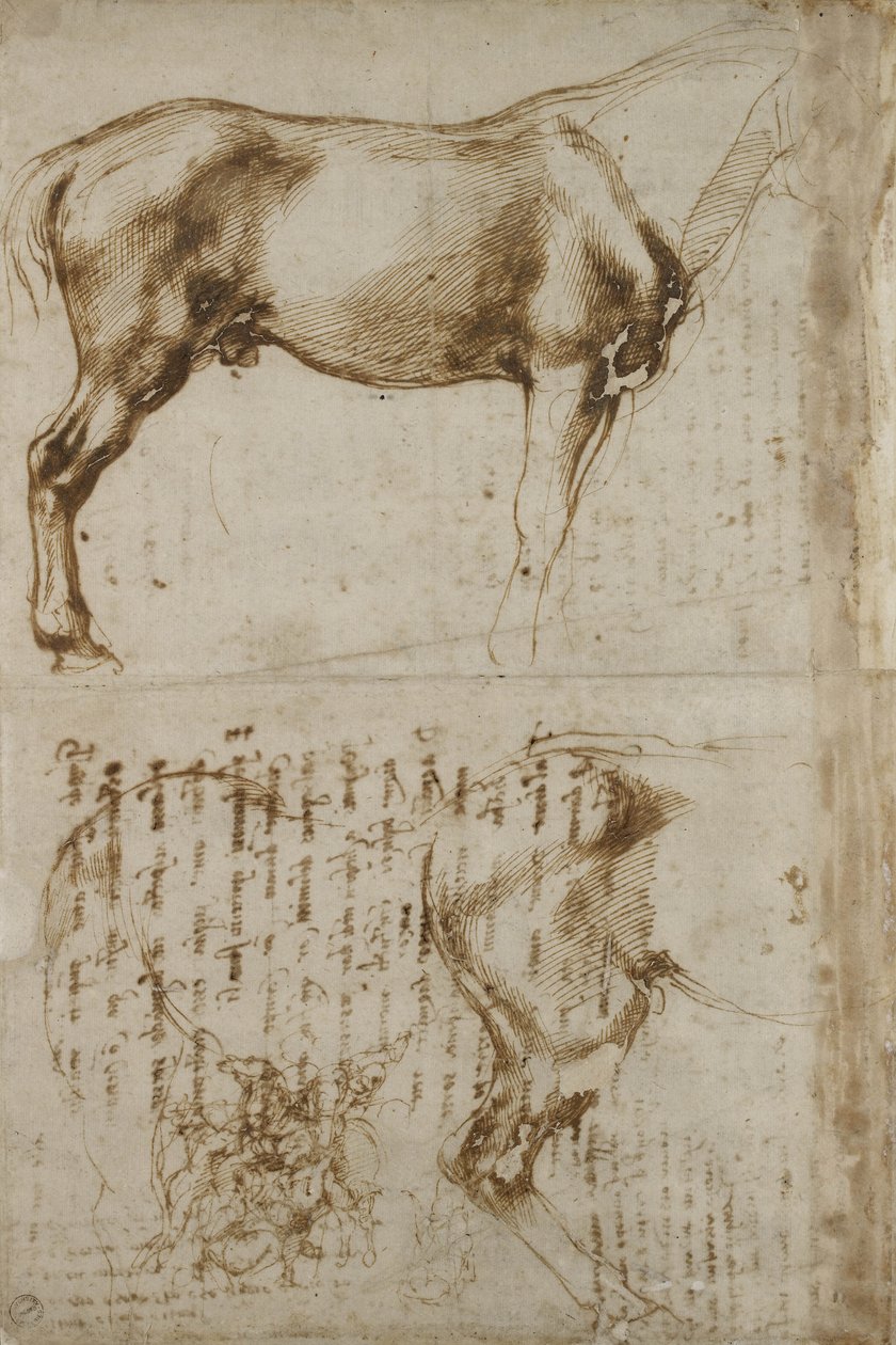 Anatómiai lóvizsgálat, 1504 alkotó: Michelangelo Buonarroti
