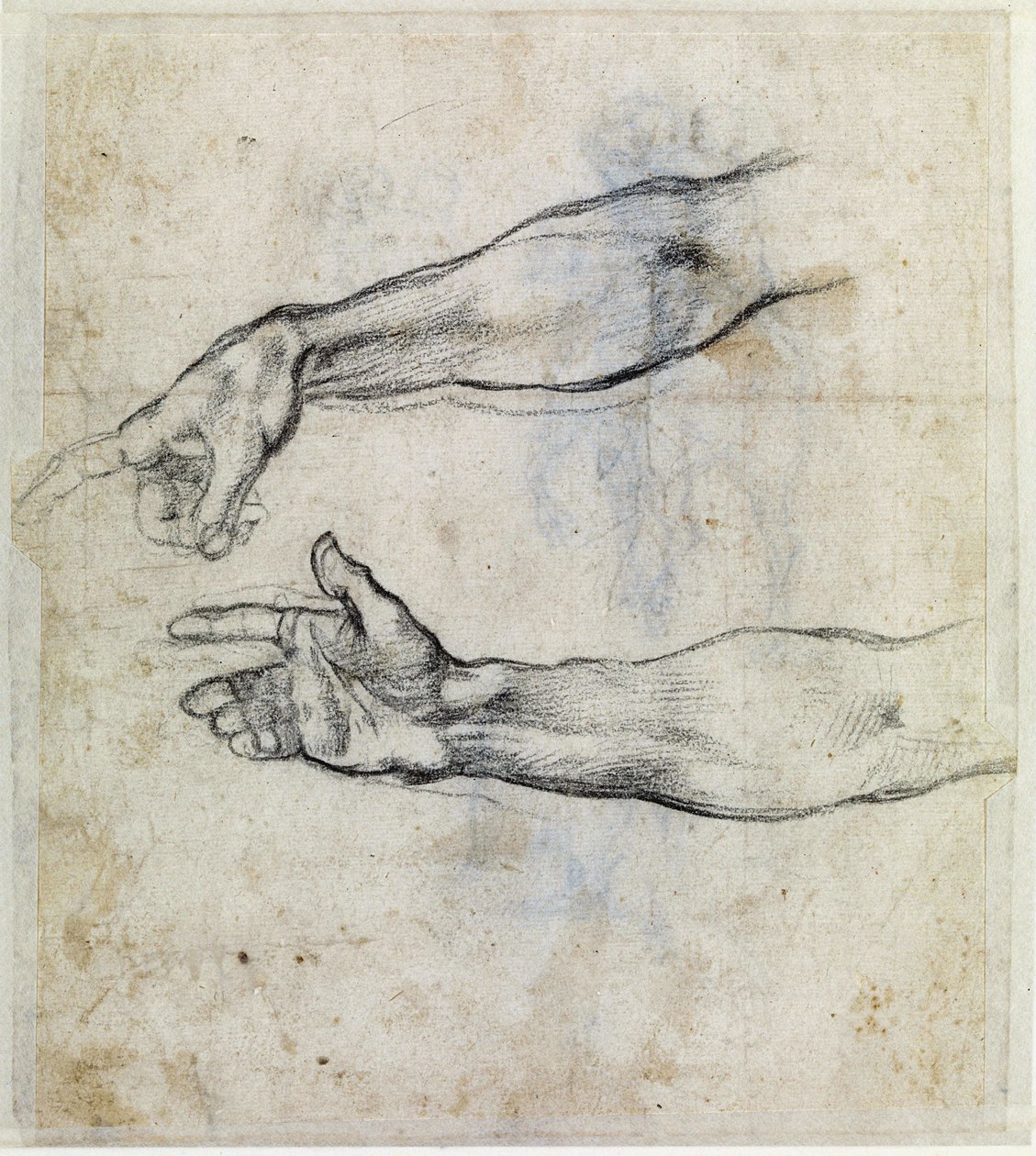  alkotó: Michelangelo Buonarroti
