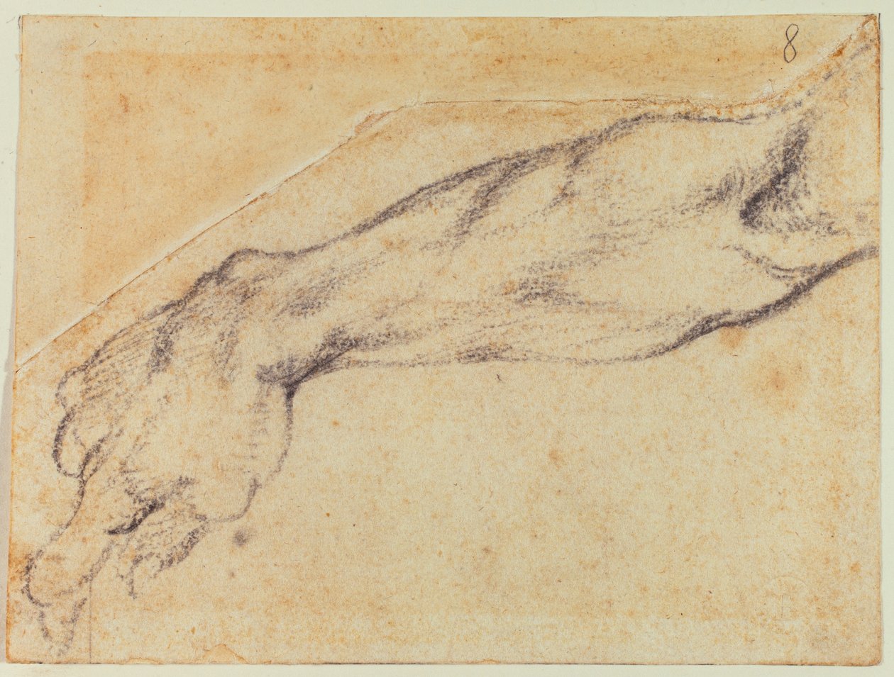 Kar tanulmány egy Sixtus-figurához alkotó: Michelangelo Buonarroti