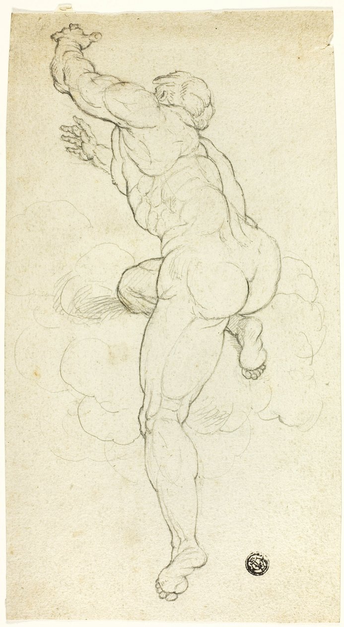 Emelkedő férfi akt alkotó: Michelangelo Buonarroti
