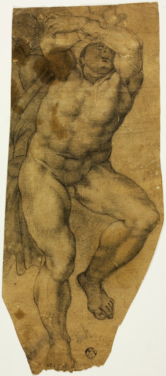 Emelkedő férfi akt alkotó: Michelangelo Buonarroti