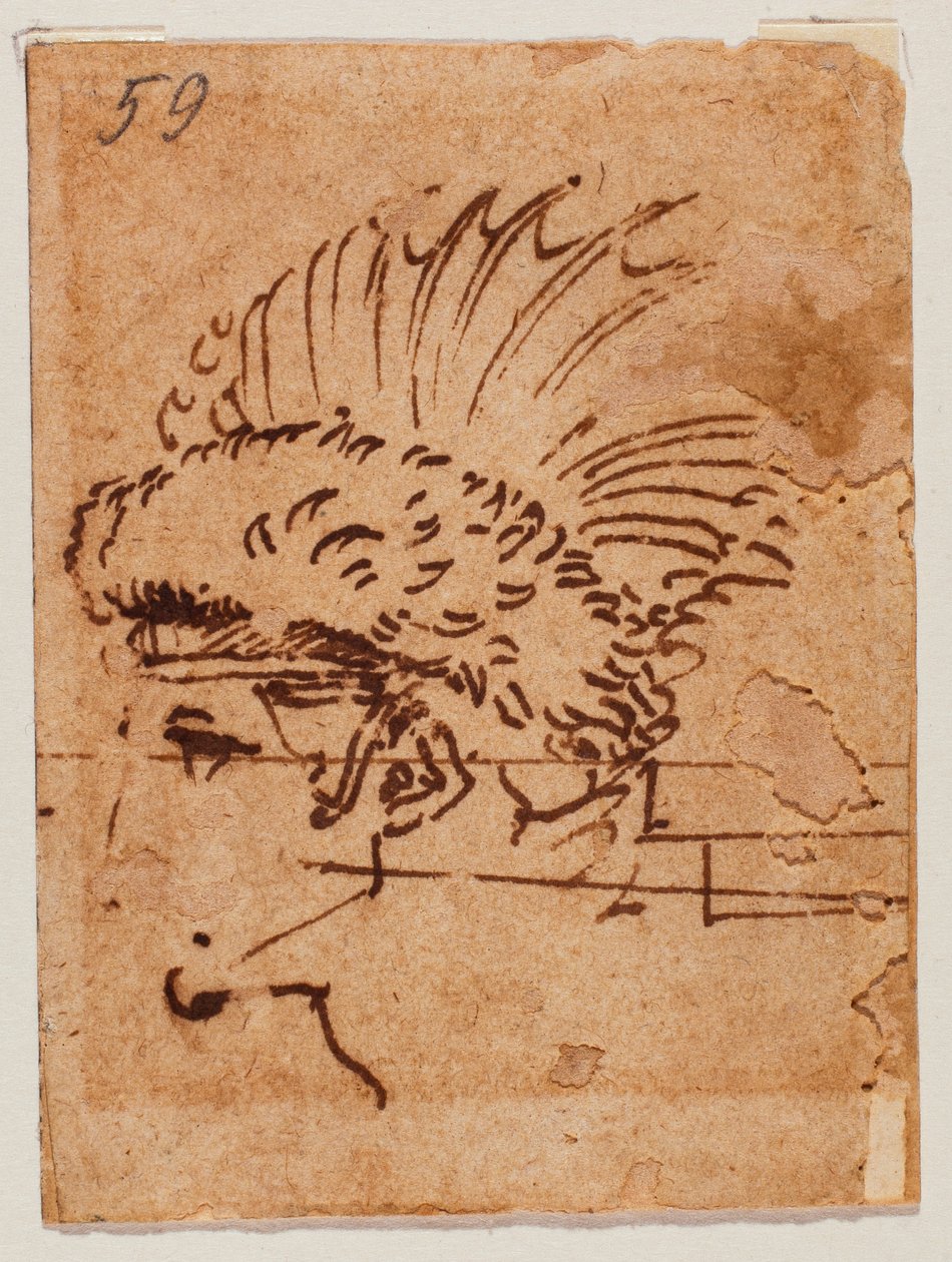 címeres fej alkotó: Michelangelo Buonarroti
