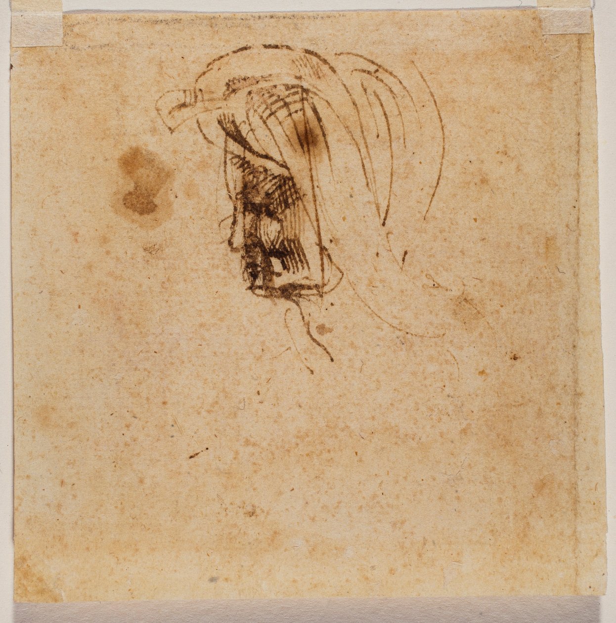 Női fej alkotó: Michelangelo Buonarroti