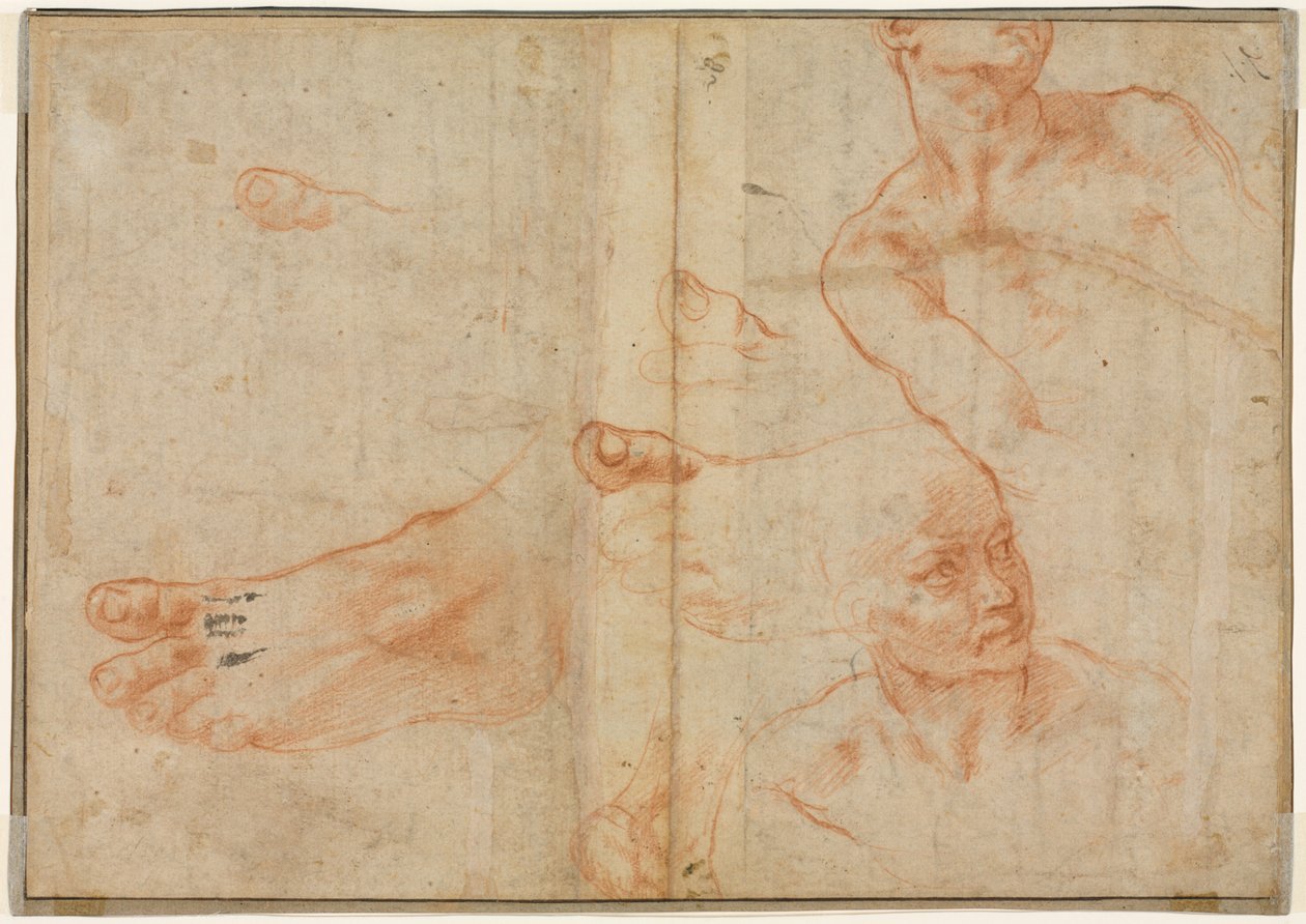Ábratanulmányok a Sixtusi mennyezethez, 1510-11. alkotó: Michelangelo Buonarroti