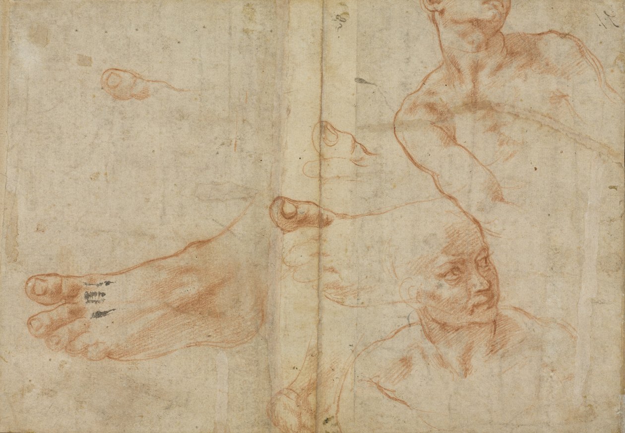 Ábratanulmányok a Sixtus-mennyezethez alkotó: Michelangelo Buonarroti