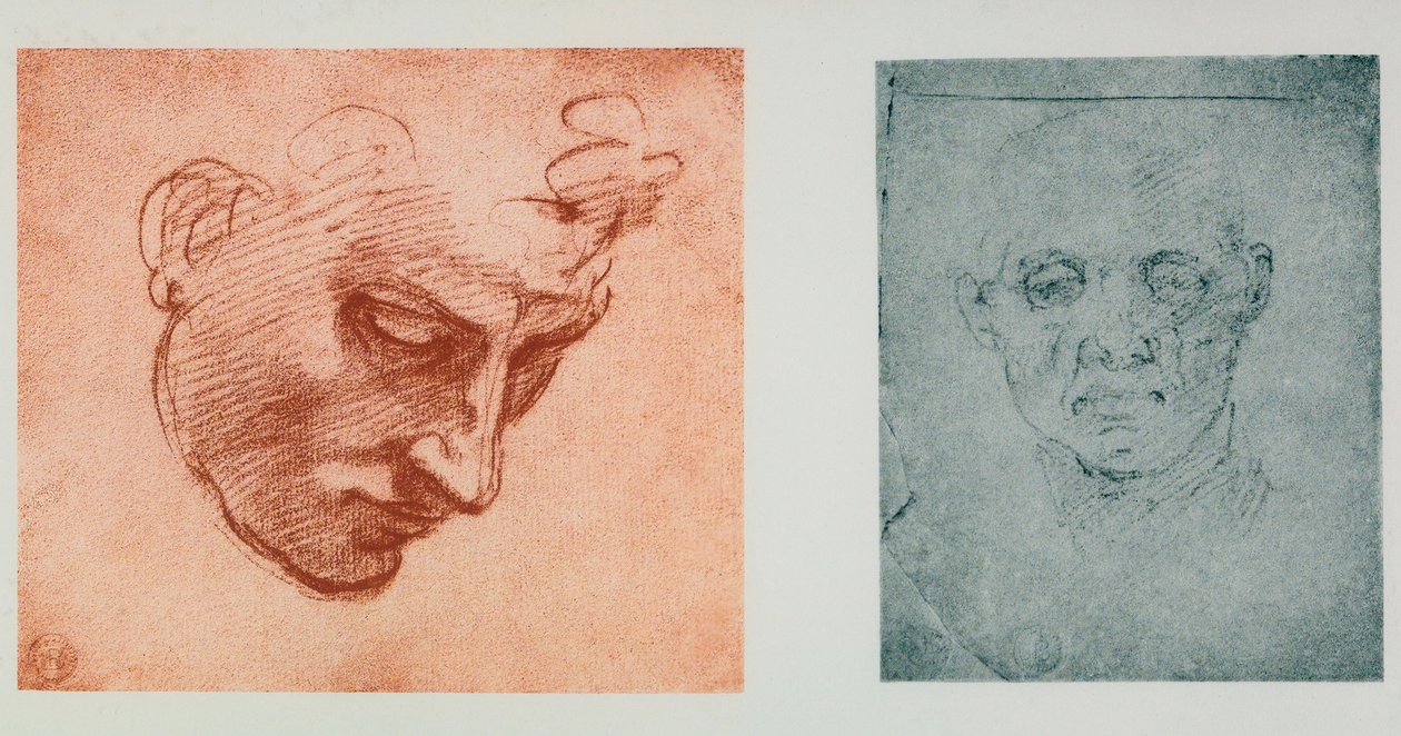Egy arc elölnézete és egy profilban; Michelangelo rajzai. Casa Buonarroti, Firenze alkotó: Michelangelo Buonarroti