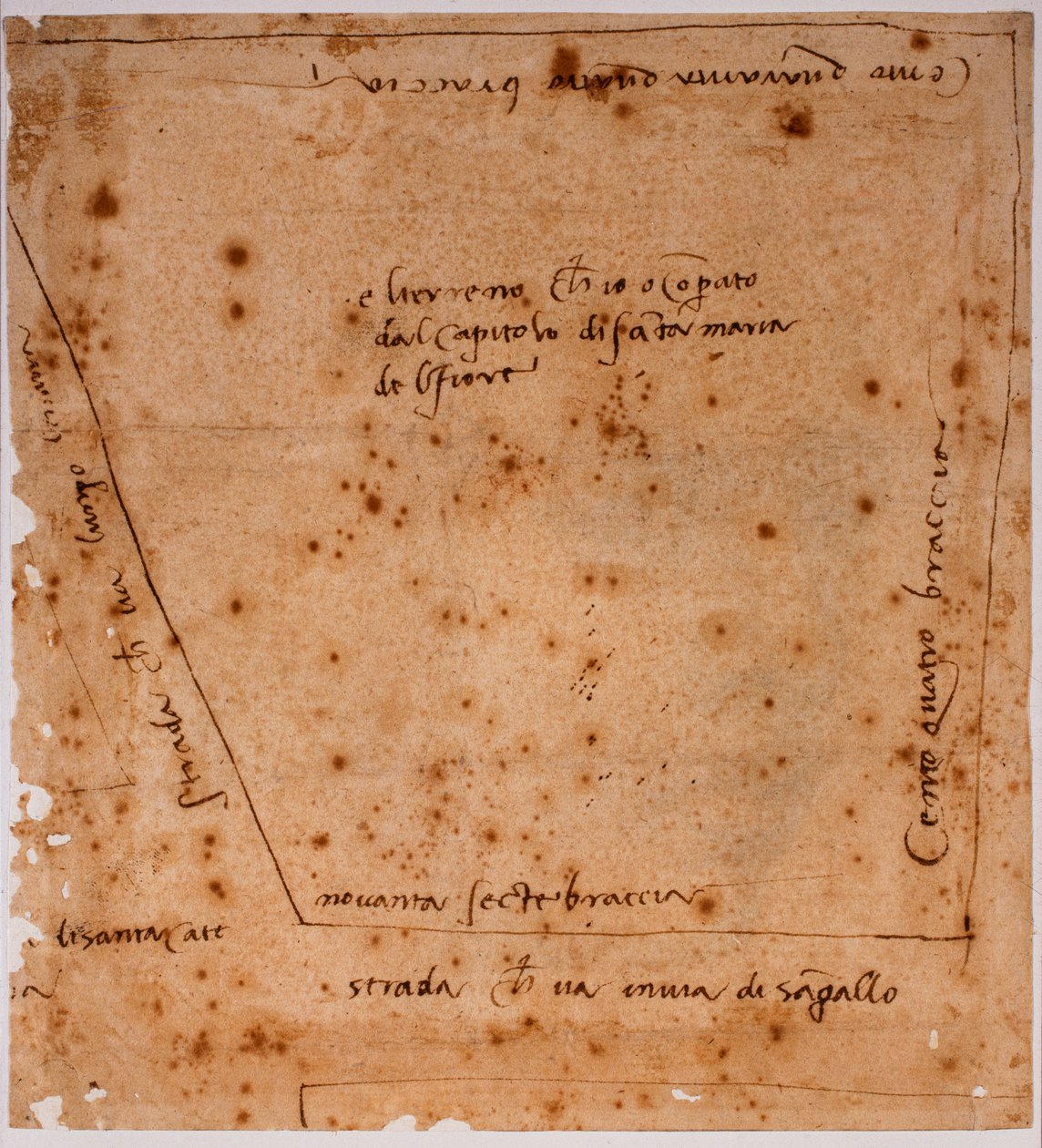 Alaprajz alkotó: Michelangelo Buonarroti
