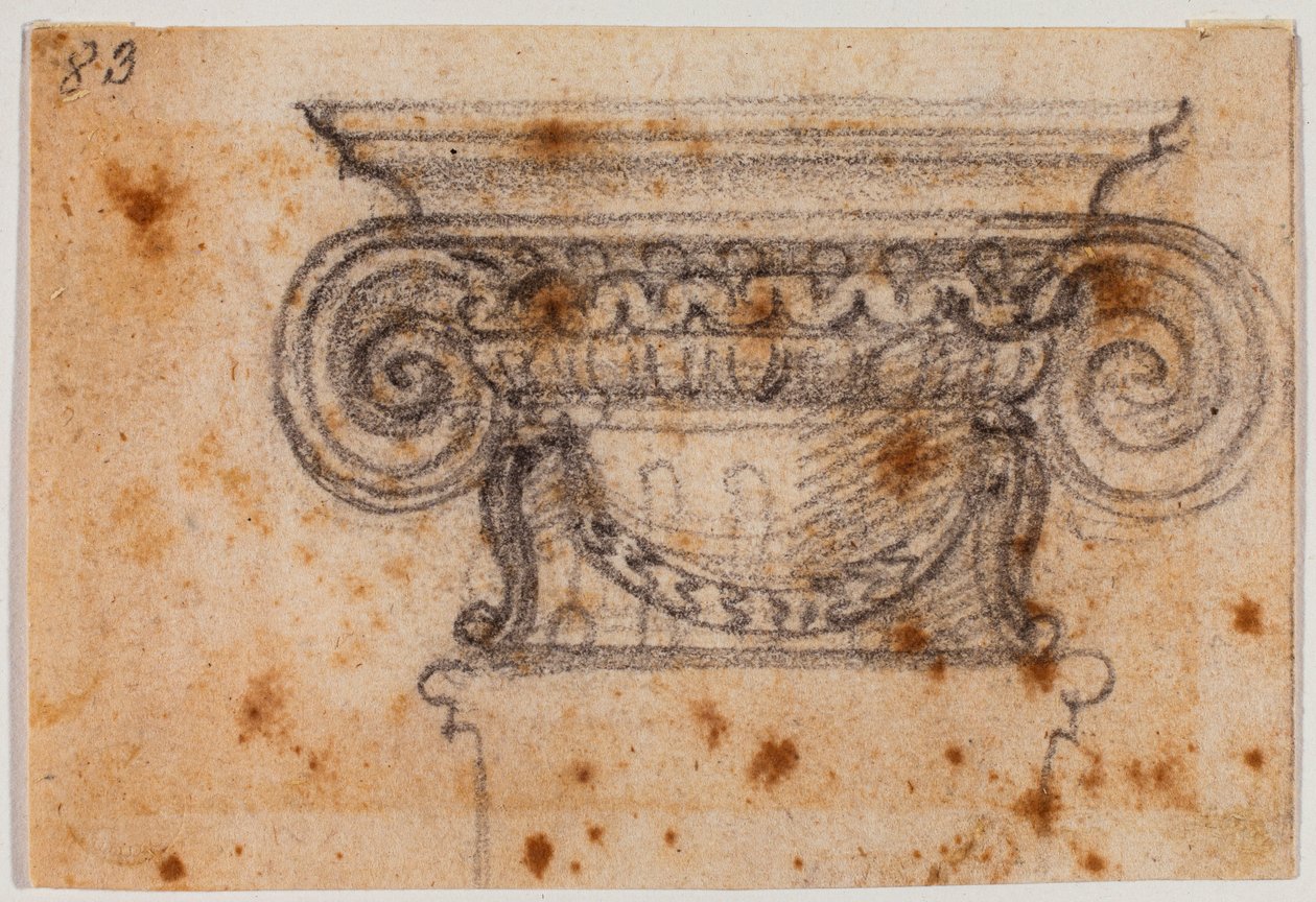 Ion-tőke tanulmány alkotó: Michelangelo Buonarroti