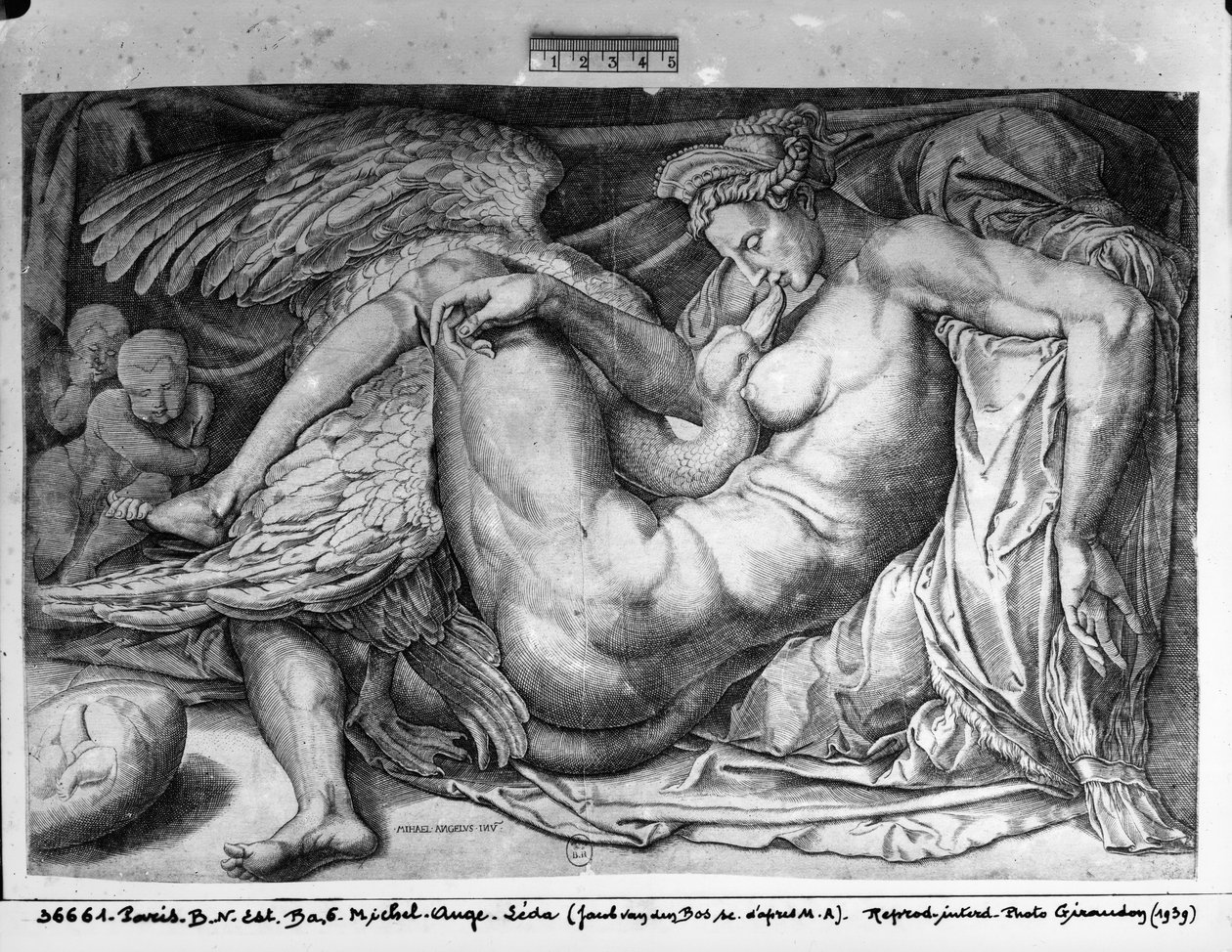 Leda, metszett Jacobus Bos, Boss vagy Bossius (b. 1520) alkotó: Michelangelo Buonarroti