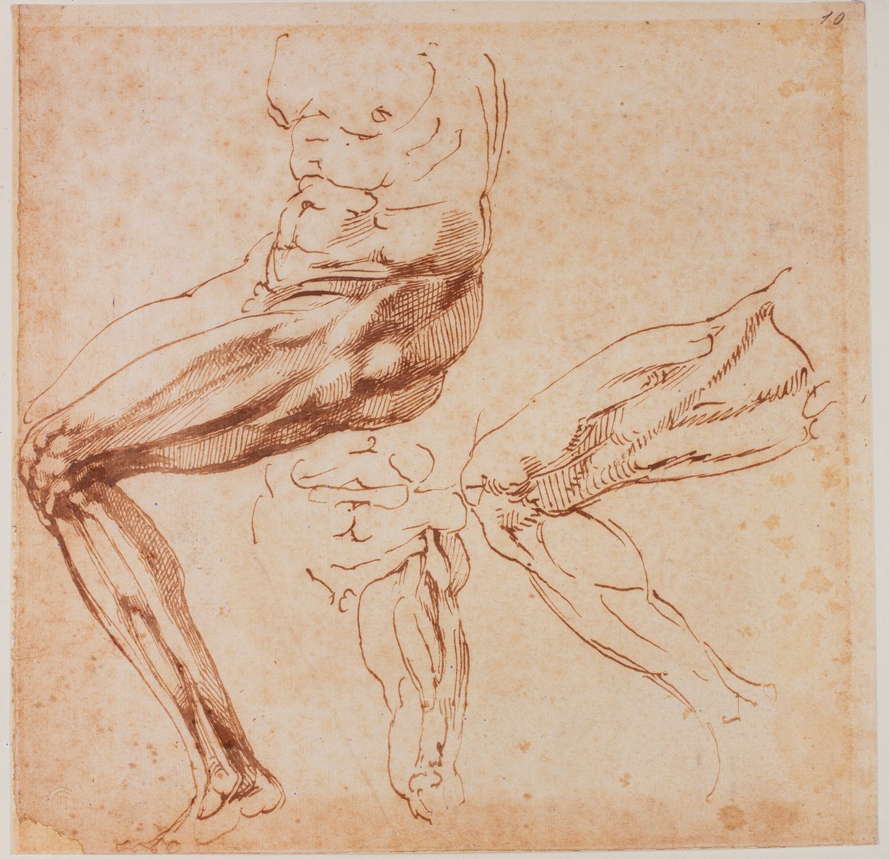 Lábtanulmányok alkotó: Michelangelo Buonarroti