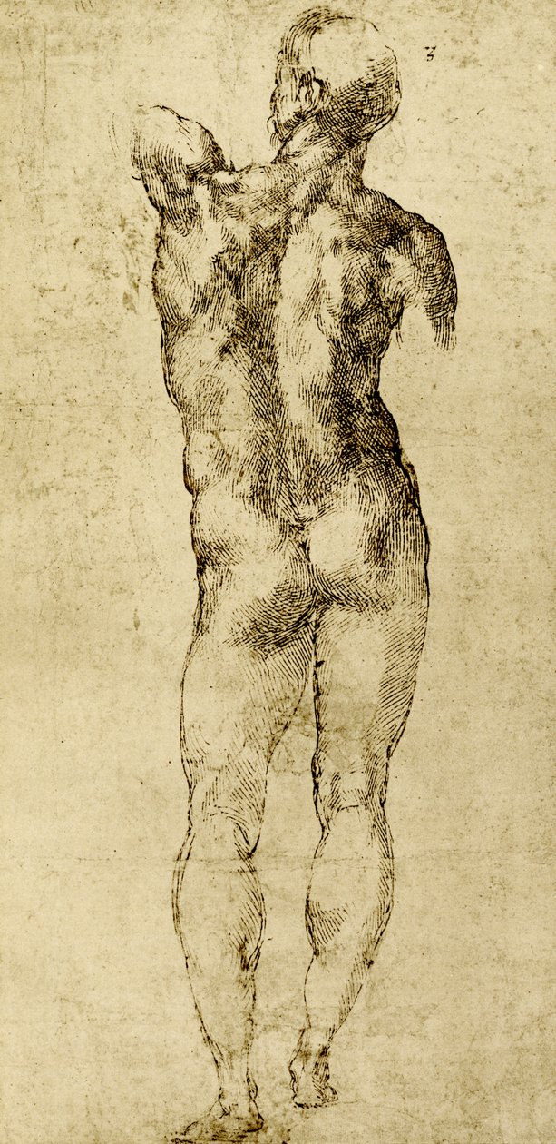Férfi meztelen alkotó: Michelangelo Buonarroti