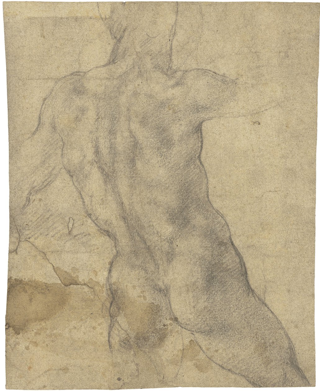 Férfi meztelen alkotó: Michelangelo Buonarroti
