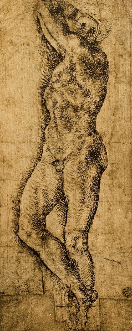 Férfi akt; Michelangelo rajza. Louvre, Párizs alkotó: Michelangelo Buonarroti