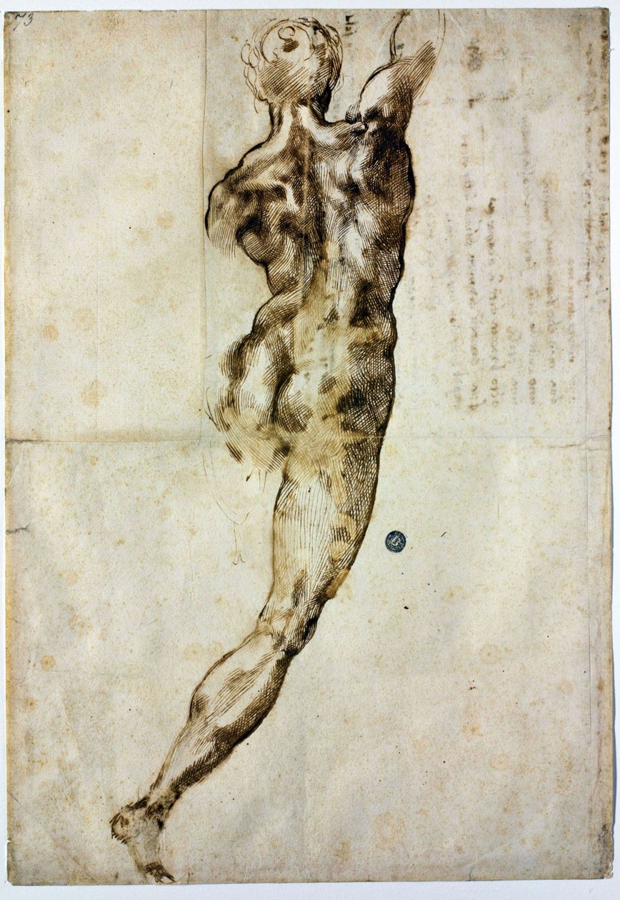 Akt hátulról, c. 1504 alkotó: Michelangelo Buonarroti