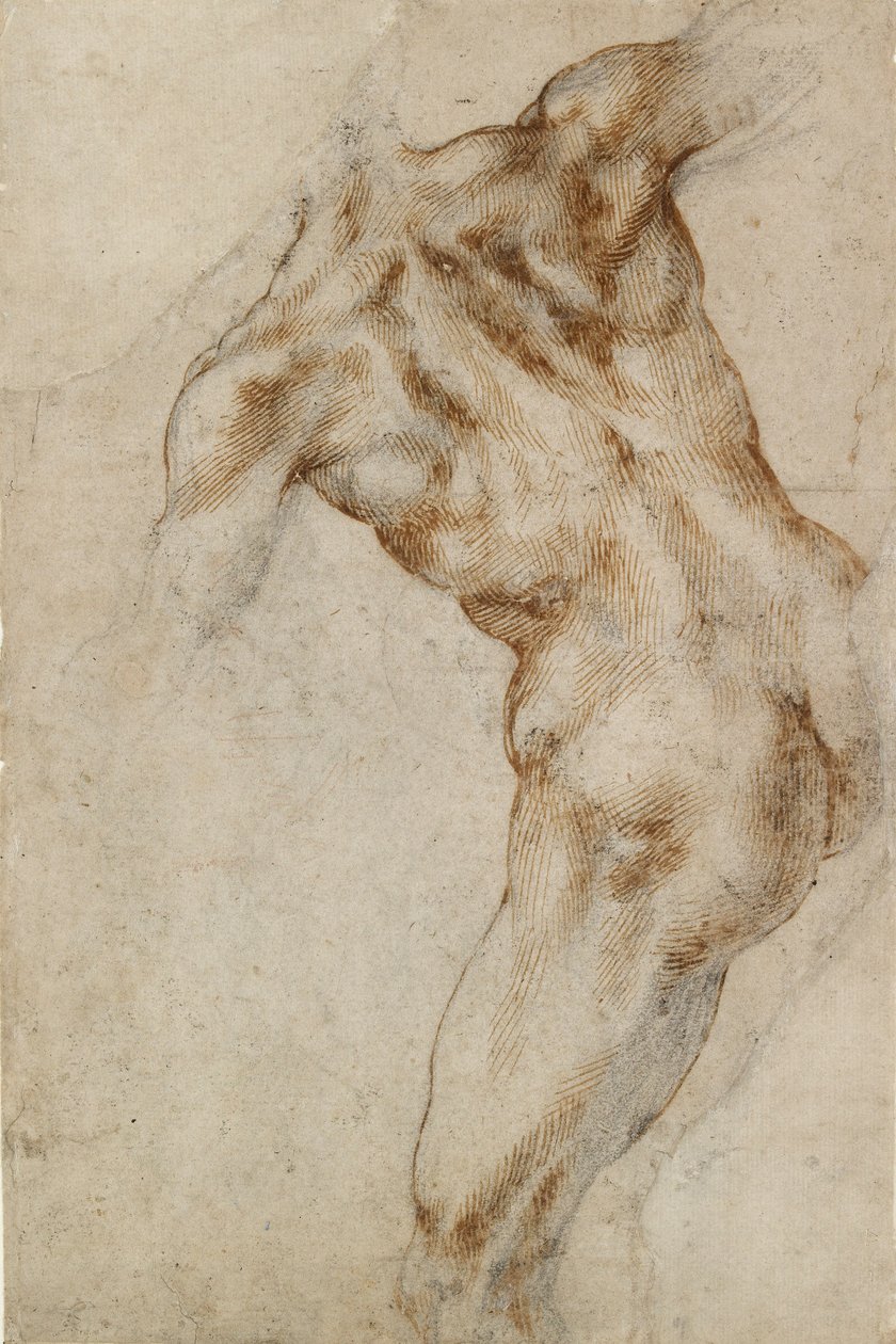 Meztelen férfi torzó, 16. század eleje alkotó: Michelangelo Buonarroti
