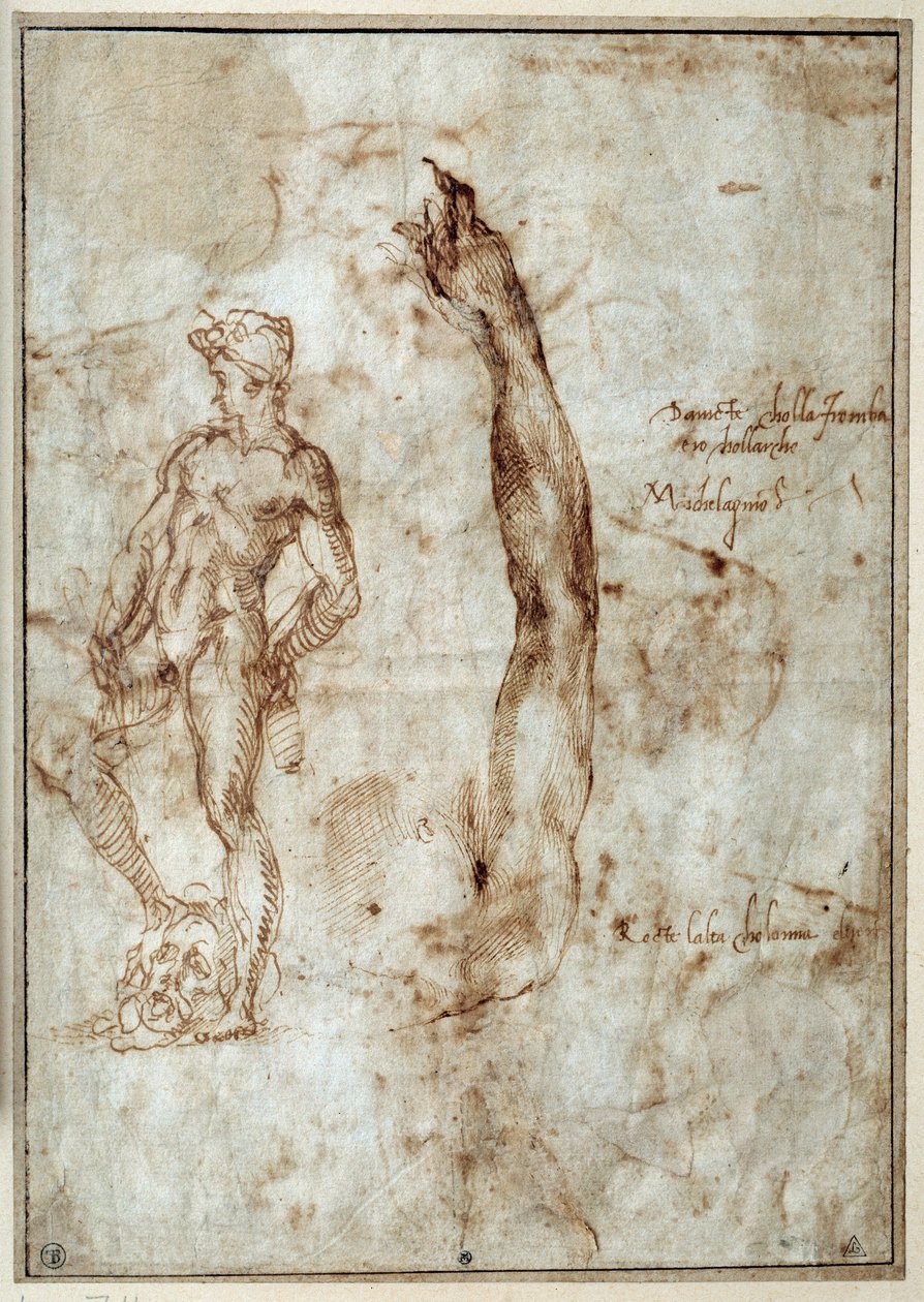 Akt tanulmány. Michelangelo Buonarroti dit Michelangelo (Michelangelo vagy Michel Ange alkotó: Michelangelo Buonarroti