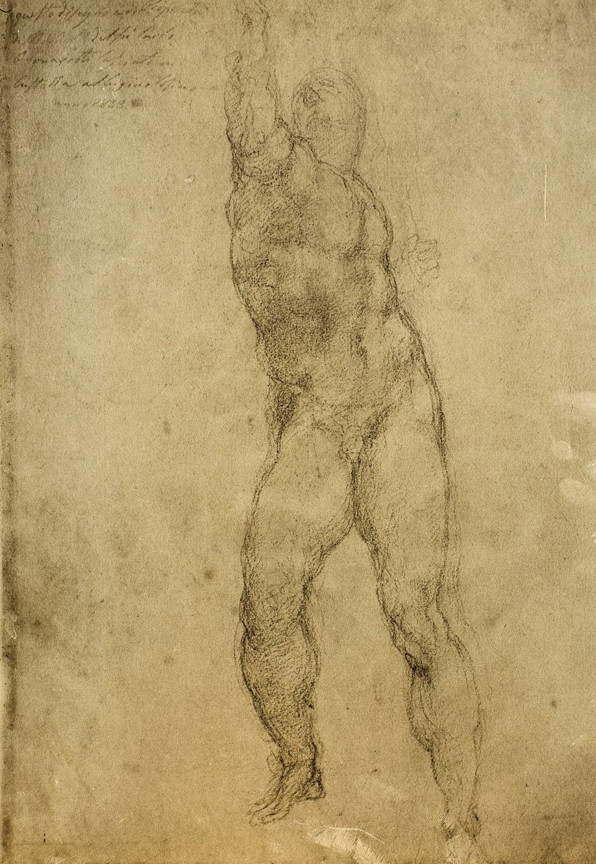 Akt tanulmány, Michelangelo rajza. Gallerie dellAccademia, Velence alkotó: Michelangelo Buonarroti