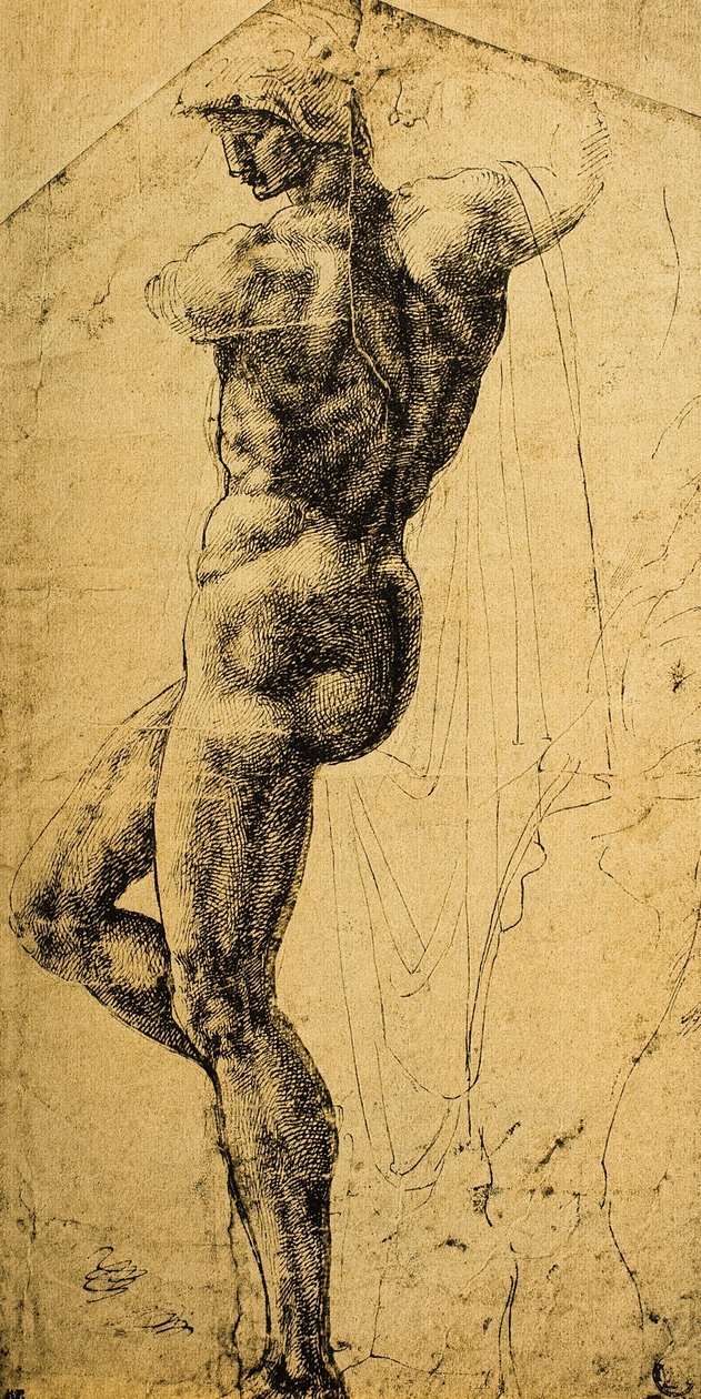 akt tanulmány; Michelangelo rajza. Musee du Louvre, Párizs alkotó: Michelangelo Buonarroti