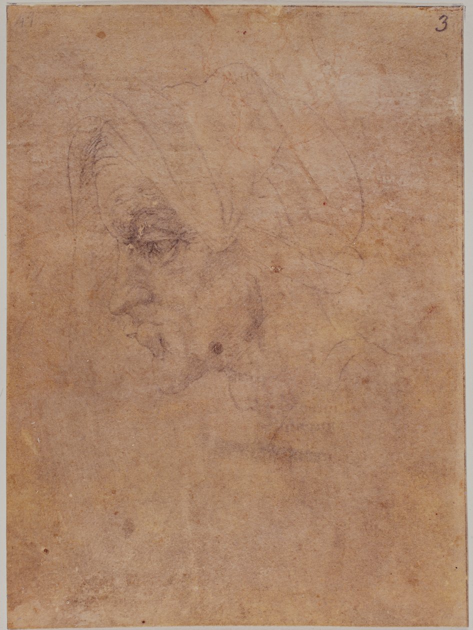 Egy idős nő profilja alkotó: Michelangelo Buonarroti